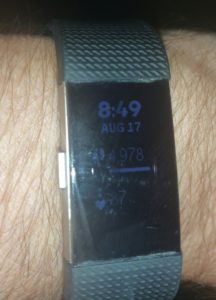 How My Fitbit Diet Actually Made Me Take LESS Steps per Day